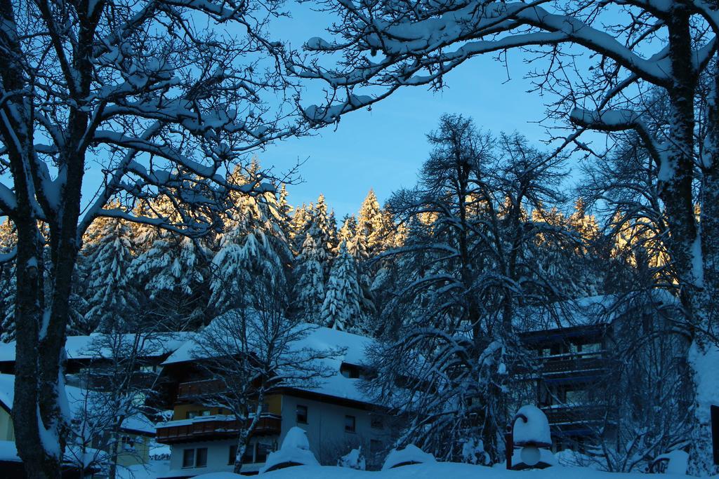 Gasthof Schwarzwaldtanne Schönwald Exterior photo