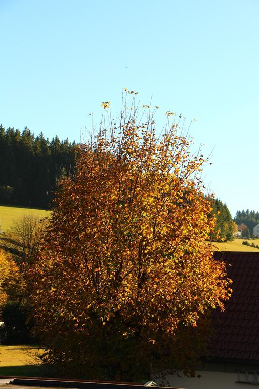 Gasthof Schwarzwaldtanne Schönwald Exterior photo